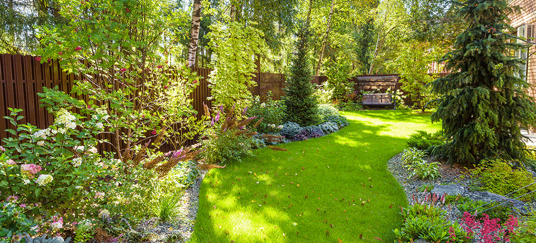 Image: Beautiful Yard Landscaping