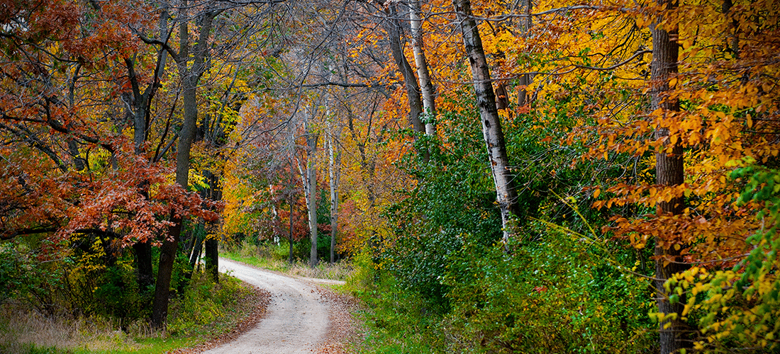 Image: Best Places to Live in the Midwest, country lane in autumn