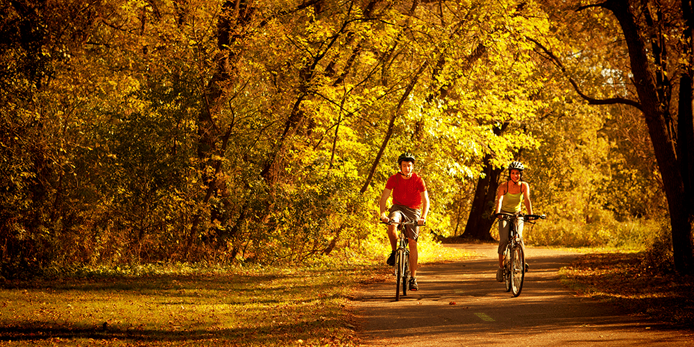 Fall in the Midwest